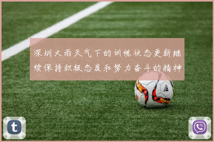 深圳大雨天气下的训练状态更新继续保持积极态度和努力奋斗的精神