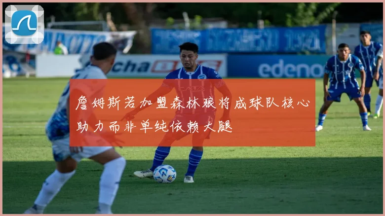 詹姆斯若加盟森林狼将成球队核心助力而非单纯依赖大腿
