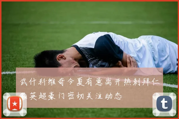 武什科维奇今夏有意离开热刺拜仁及英超豪门密切关注动态